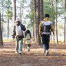 Палка треккинговая NATUREHIKE ST01 6061 AL NH17D001-Z с 3 узлами женская 57-120 золотой 6975641885597
